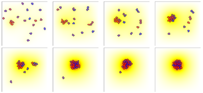 A simulation of the Keller-Segel chemotaxis, illustrating the aggregation of cells that produce a chemical and are attracted by it. A time sequence from left to right and top to bottom starting with time $t = 5$ in increments of $\Delta t = 15$. The level of the chemical attractant is shown in shades from white to yellow and red as its concentration increases. Cells are all identical, but colored differently for ease of tracking their motions. Produced by Morpheus file [`KellerSegelChemotaxis.xml`](#downloads).
