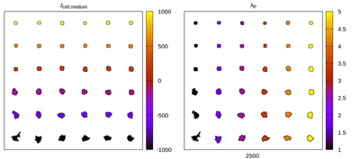 Equilibrium cell shapes for a **kernel-specific CPM** parameter set and **1st order** neighborhood kernel. Panels differ by color coding $J$ and $λ_p$ respectively.
