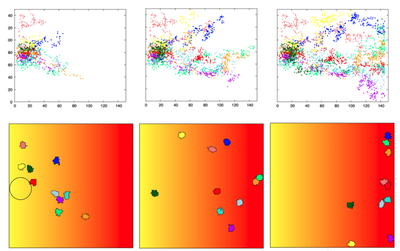 Chemotaxis of cells towards a chemical attractant $c$ whose gradient is established by diffusion from the right boundary. Shown are the cells (bottom panels) at $t = 100, 200, 300$ time steps (left to right). The level of $c$ is indicated by red (high) to yellow (low) shades. Cells started at $t = 0$ in the small circle shown in the bottom left panel. The trajectories of the cells from $t = 0$ up to the given times are shown on the top panels. Produced with Morpheus file [`SimpleChemotaxis_main.xml`](#model).