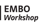 EMBO Workshop: Systems Biology of Development (EMBO Poster award)