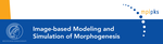 International Focus Workshop: Image-based Modeling and Simulation of Morphogenesis