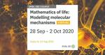 Spatial modelling with Morpheus at EMBL-EBI