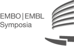 EMBO/EMBL Symposium: Synthetic Morphogenesis