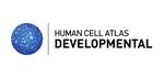 Human Cell Atlas Developmental and Pediatric Cell Atlas Meeting