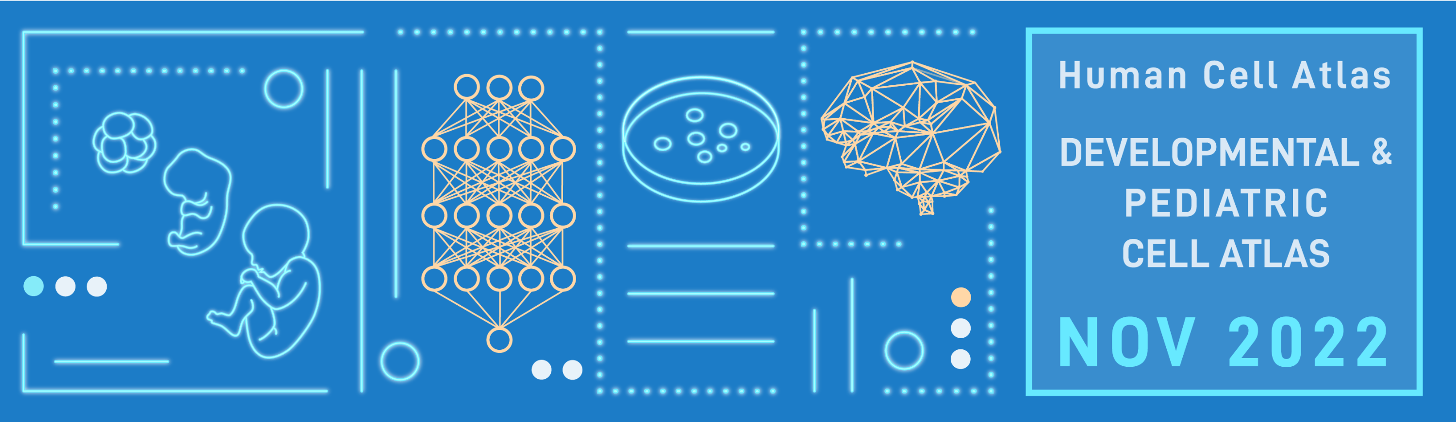 Human Cell Atlas Developmental And Pediatric Cell Atlas Meeting | Morpheus