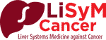 Modeling Workshop of LiSyM-Cancer