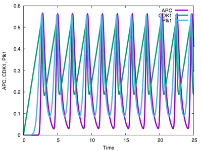 ODE system with `time-scaling`=`2.0`.