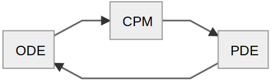 Cyclic interaction of ODE, CPM and PDE.