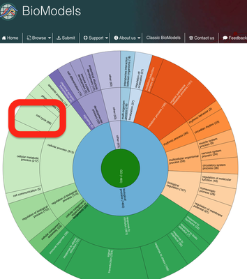 Browse cell cycle models at the BioModels model repository.