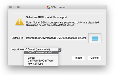 SBML import dialog with various import options.