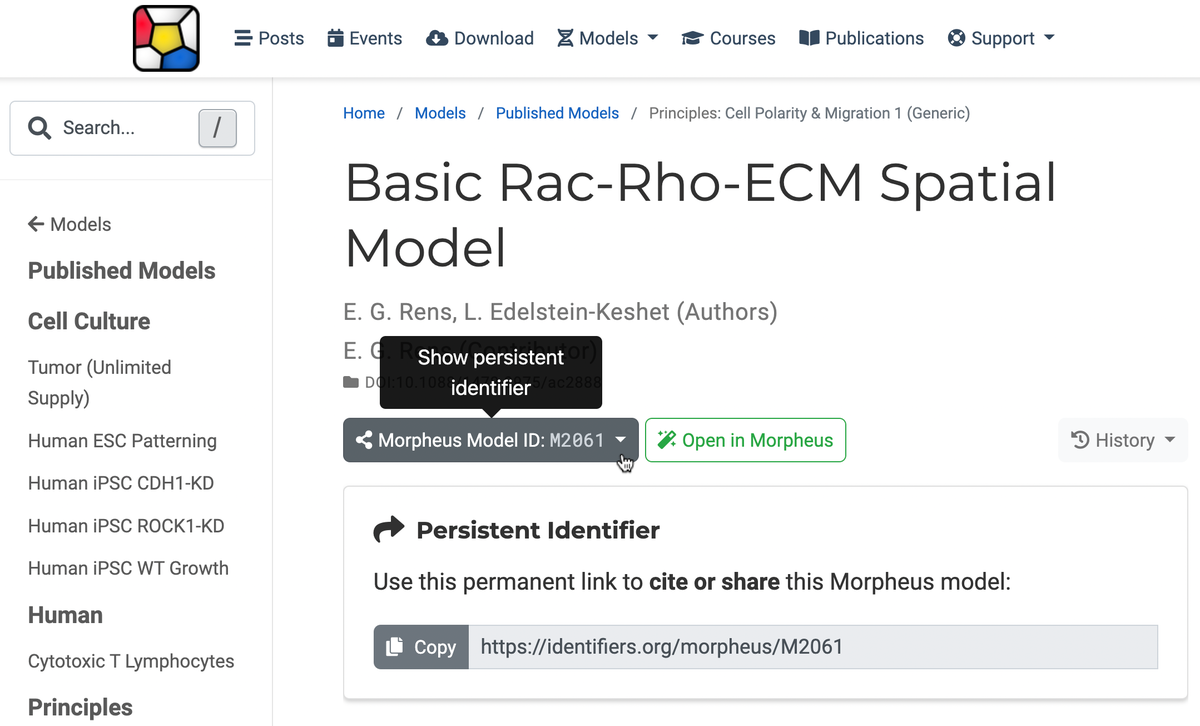 Models | Morpheus