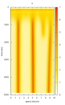 Space-time plot of 1D reaction diffusion model.