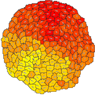 Persistence of individual cells causes self-organized collective motion.