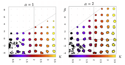 A morpheus simulation of the shape of a single cell in the $\kappa \beta$ CPM parameter plane ($\kappa$ is a scaled perimeter cost and $\beta$ is a scaled cell-medium contact energy, and $\alpha$ is the asphericity of the cell). Produced with model file [`CPMParameterPlane_main.xml`](#model).