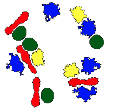 The cells prefer not to touch one another in this simulation, where the interaction energy with the medium is lower than that of the cells with one another.