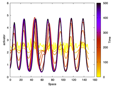 A time sequence of pattern formation in the 1D Schnakenberg system, the simulation starts with random initial conditions and proceeds to form a series of peaks.
