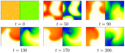 Simulation of the actin waves PDE system in 2D, showing (right, left) $G(x,y,t)$ and $F(x,y,t)$ (side by side) over time. Produced with [`ActinWavesPDE_2D.xml`](#downloads).