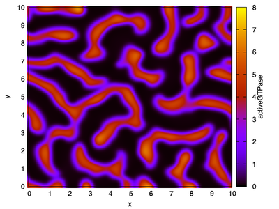 Snapshot of 2D model simulation shows spiral waves