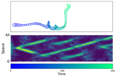 **Figure 10.** Cell shapes and pseudopod competition under continual space-time distributed noise ($s = 0.8$, $L = 4\lambda$). The noise disrupts regular counter-propagating peaks, causing alternating pseudopod dominance and random turning trajectories that resemble the amoeboid motility phenotype of *Dictyostelium*.