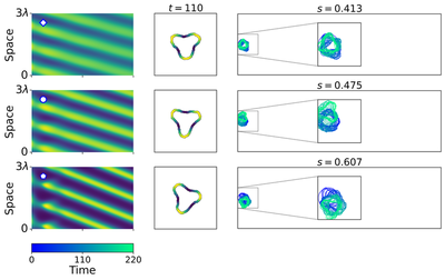 **Figure 3.** Edge-ruffling (3TW) cell motility along the traveling wave branch ($L = 3\lambda$). For parameter values $s = 0.413, 0.475, 0.607$, the cell boundary supports three competing traveling waves. The resulting protrusions pull in opposite directions, preventing directed migration and yielding a stationary ruffling phenotype.