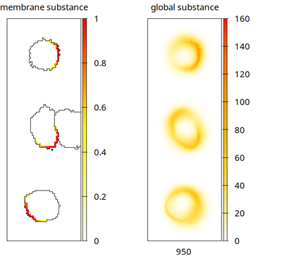 Snapshot of the three cells of interest