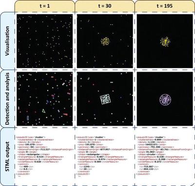 Simulation of chemotaxis and cell-cell adhesion (top row), segmentation of cell clusters (middle) and STML encoded cell clusters (bottom) as published in [Fig. 8](https://bmcsystbiol.biomedcentral.com/articles/10.1186/s12918-014-0124-0/figures/8) ([*CC BY 2.0*](https://creativecommons.org/licenses/by/2.0/): [**Pârvu _et al._**](#reference)). Time `t` counts output iterations which are written every 50 MCS.