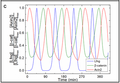 Figure4