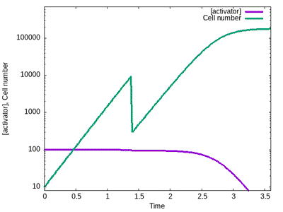 Figure 3: Model simulation as in previous figure but with perturbation at Time=1.4 that resets cell number to 300 but keeps activator and inhibitor unchanged (see unperturbed purple curve). The cell number (green curve) regenerates to a similar size as in the unperturbed scenario in the previous figure. Also these regeneration results reproduce the published results from [Fig.3 of the original paper](#reference).