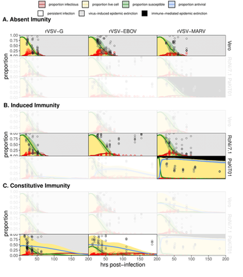Results of the spatial model as published by [Brook _et al._](#reference) ([Fig. 5 Suppl. 3](https://elifesciences.org/articles/48401/figures#fig5s3)). Unshaded panels correspond to best fitting immune type for each virus/cell line combination and only those are followed up in the Morpheus model below. [*CC BY 4.0*](https://creativecommons.org/licenses/by/4.0/)