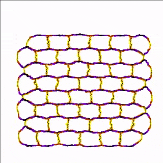 Membrane properties are scalar fields mapped to cell membrane. They allow modeling of anisotropic cell behavior.