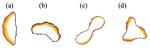 Eukaryotic Cell Motility Based on Actin Waves on the Cell Edge