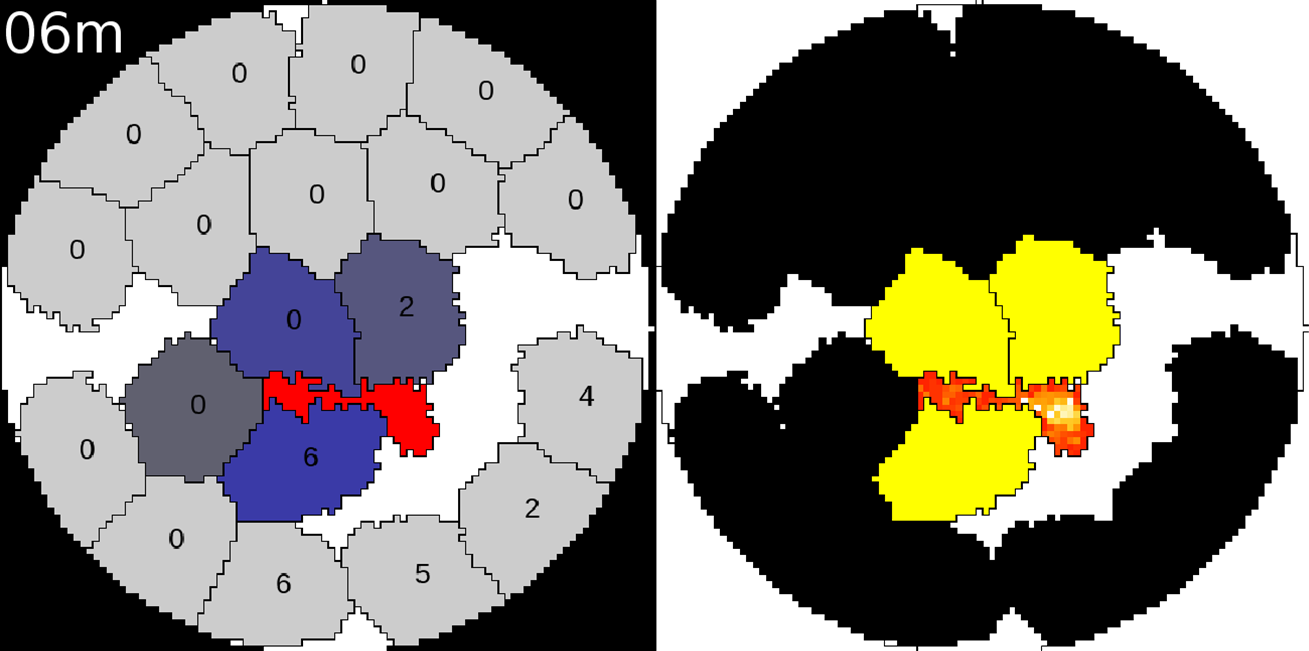 Heterogeneous, delayed-onset killing by multiple-hitting T cells ...